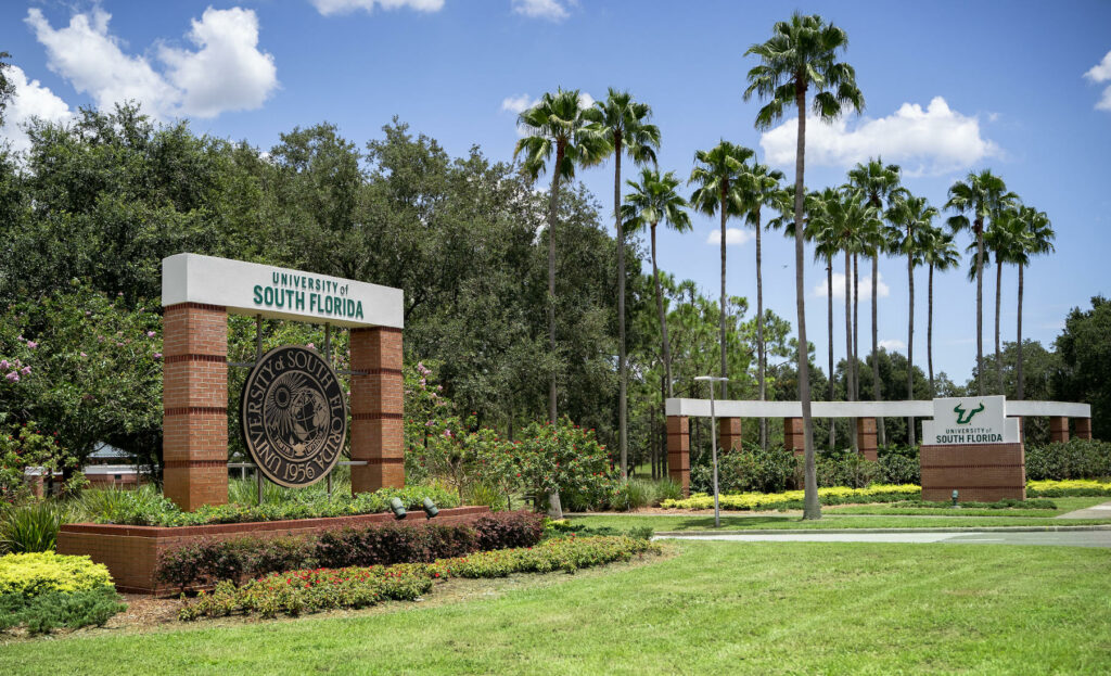 University of South Florida University of South Florida